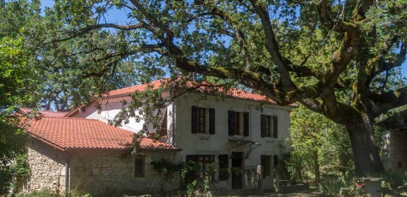 Belle Gasconne en pierres avec dépendances sur 2 ha