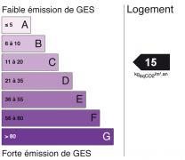 ges 15